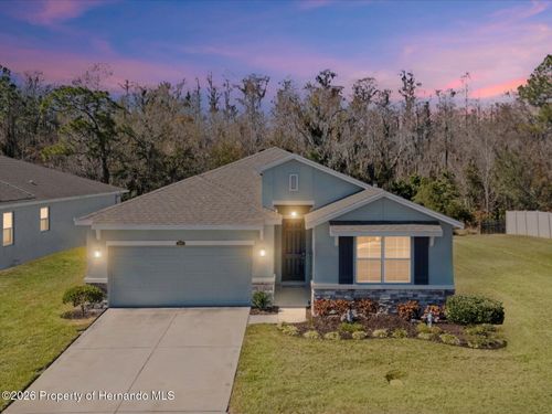 2873 Storybrook Preserve Dr, ODESSA, FL, 33556-2763 | Card Image