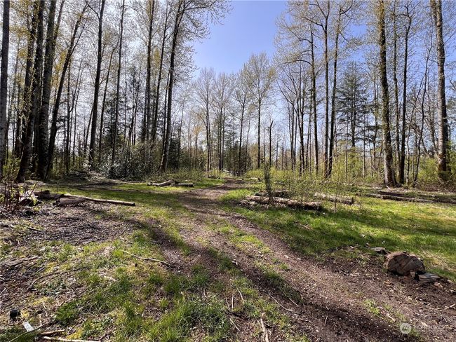 35 Cumberland Way Se, Home with 0 bedrooms, 0 bathrooms and null parking in Enumclaw WA | Image 5