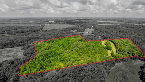 00 Jim Hardister Rd, Whiteville, TN, 38075 | Card Image