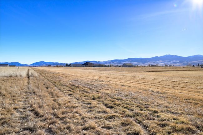 turf runway | Image 12