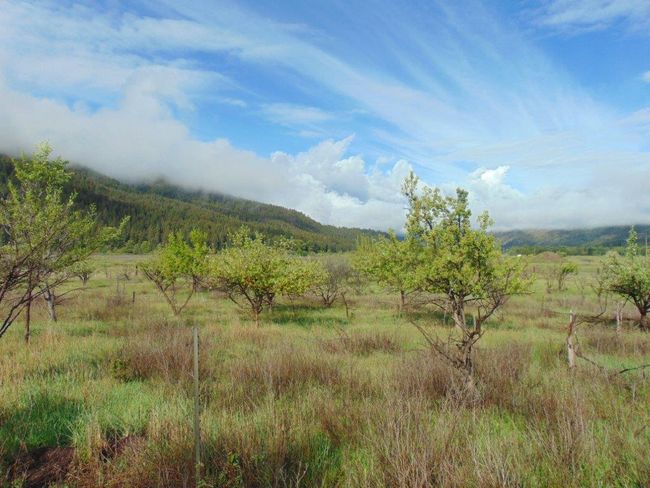 27235 Lazy Springs Rd, Home with 0 bedrooms, 0 bathrooms and null parking in Clinton MT | Image 23