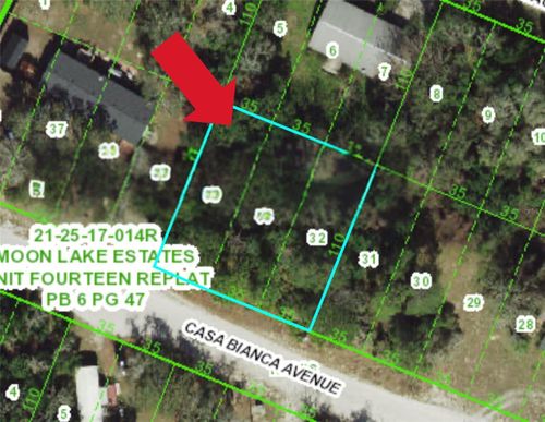 12905 Casa Bianca Ave, NEW PORT RICHEY, FL, 34654-4604 | Card Image