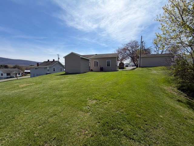 Picture 12