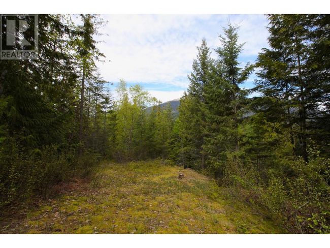 434 Lexington Ave, Home with 0 bedrooms, 0 bathrooms and null parking in Procter BC | Image 13