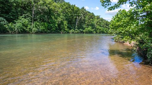 lot-12-000 Blue Ribbon Dr, Pottersville, MO, 65790 | Card Image