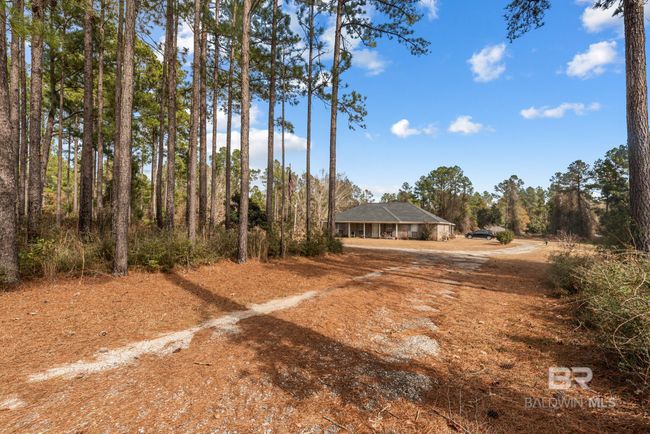 Yard | Image 8