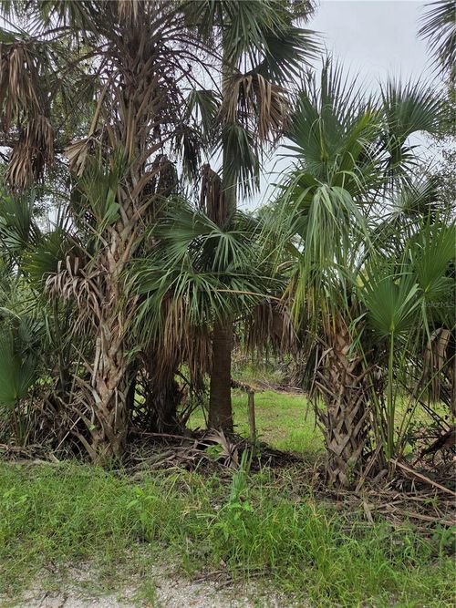 12835 River Rd, Myakka City, FL, 34251-9567 | Card Image