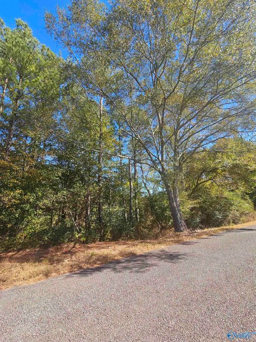 010 Rock City Ave, Leesburg, AL, 35983 | Card Image