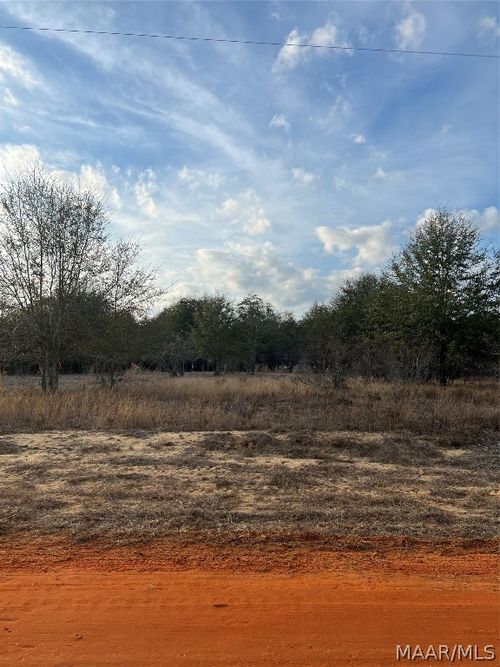 Lot 41 Dear Dr, Camden, AL, 36726-3330 | Card Image