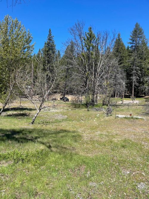 300 Cedar Gap Road, Ruth Lake, CA, 95526 | Card Image