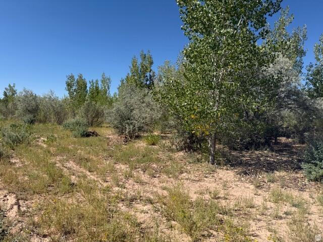 Land in Cedar City