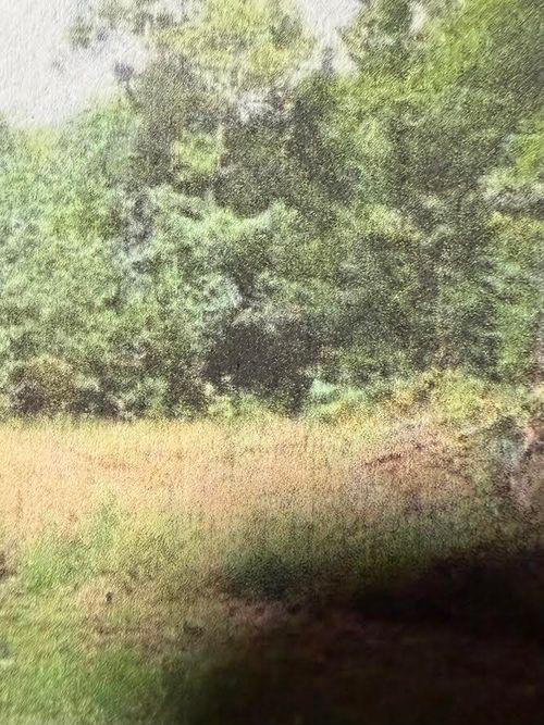 0 Raintree Rd, Roanoke, VA, 24018 | Card Image