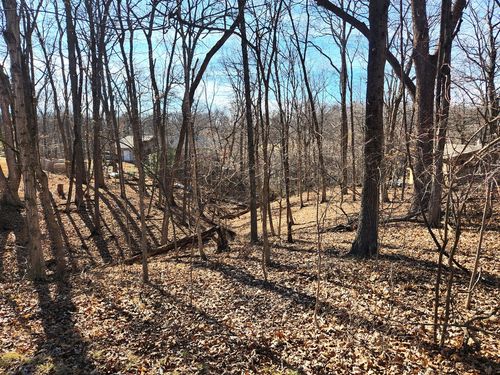 Lot 1673 Lakeside Ct, Varna, IL, 61375-9526 | Card Image