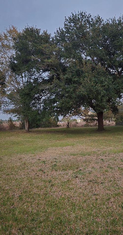 NHN Bay St, Bay Saint Louis, MS, 39520-7248 | Card Image