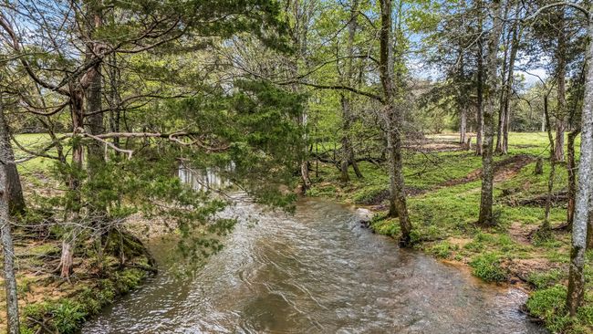 Picturesque creek on the back of the property. | Image 24