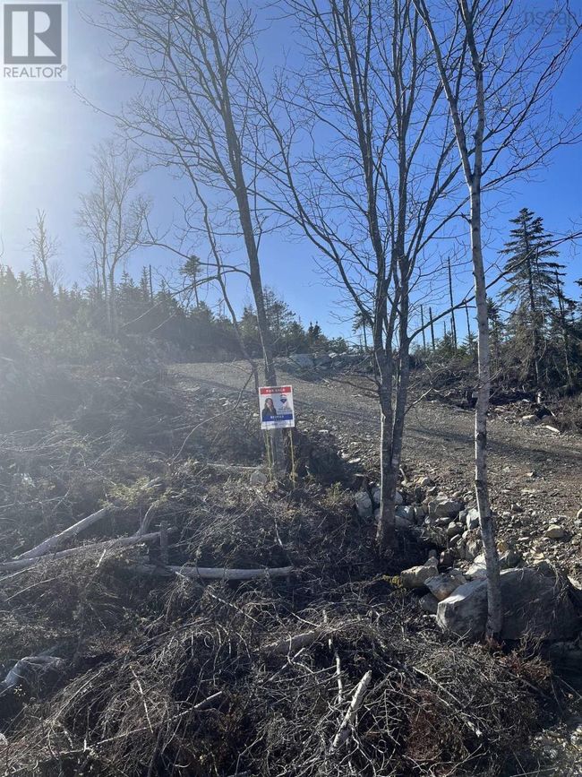 5 W Jeddore Rd, Home with 0 bedrooms, 0 bathrooms and null parking in Head Of Jeddore NS | Image 6