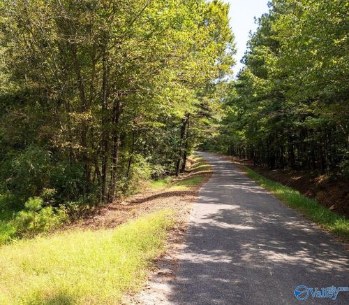 62 Beautiful AC Toney Dr, Altoona, AL, 35952 | Card Image