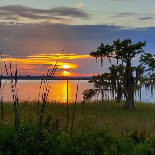 2c-2225 Cypress Ct, TAVARES, FL, 32778-2033 | Card Image