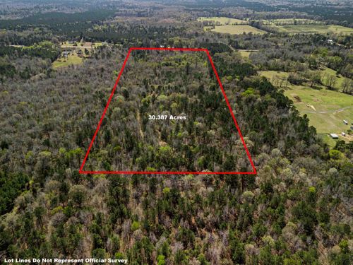 30 Ac TBD E Hwy 49, Jefferson, TX, 75657 | Card Image