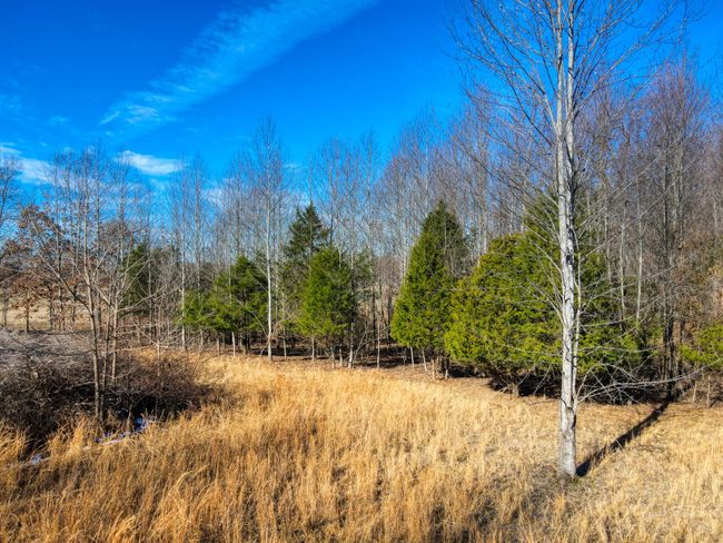 0 Old Jones Easement, Home with 0 bedrooms, 0 bathrooms and null parking in Adolphus KY | Image 6