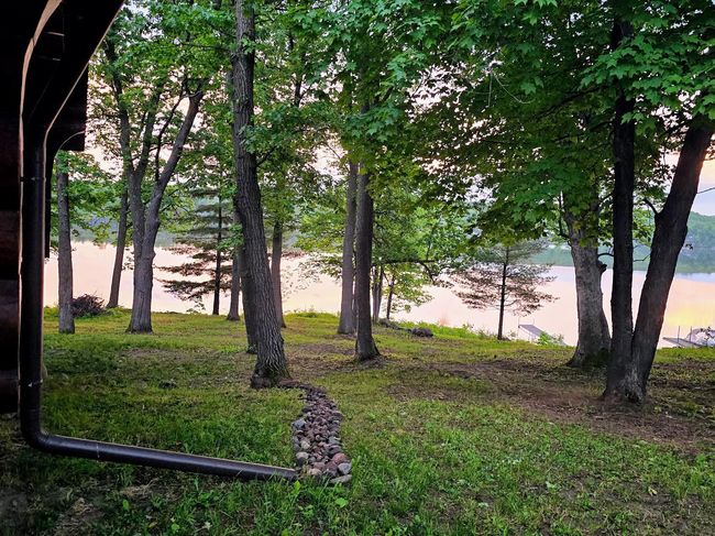 The south side yard.jpg | Image 33