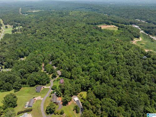 na-0 Sunshine Ave, ONEONTA, AL, 35121 | Card Image