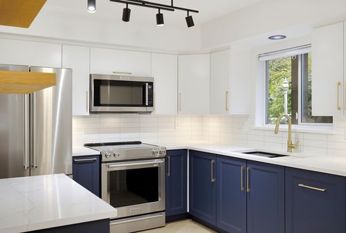 105-20556 113 Ave, Maple Ridge, BC, V2X1Z3 | Card Image