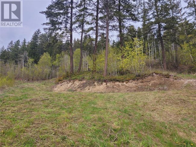 24 - 2481 Squilax Anglemont Rd, Home with 0 bedrooms, 0 bathrooms and null parking in Lee Creek BC | Image 7