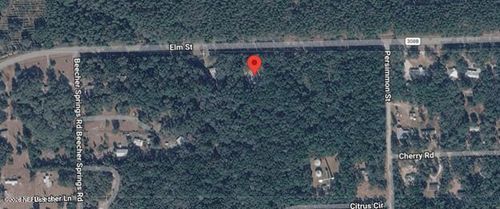 869 County Road 308b, Pomona Park, FL, 32181-2319 | Card Image