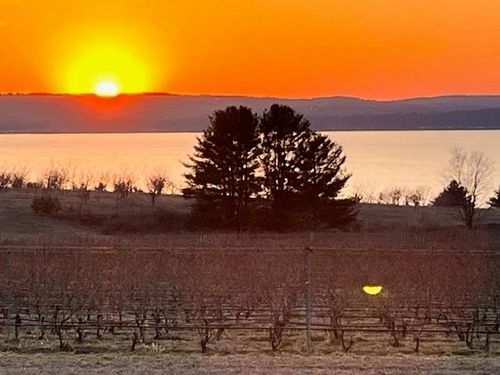 #1 Cavalieri Court, Peninsula Township, MI, 49696 | Card Image