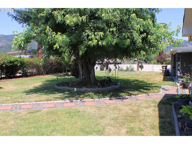131 Mountain View Ave, House other with 3 bedrooms, 2 bathrooms and 2 parking in Myrtle Creek OR | Image 34