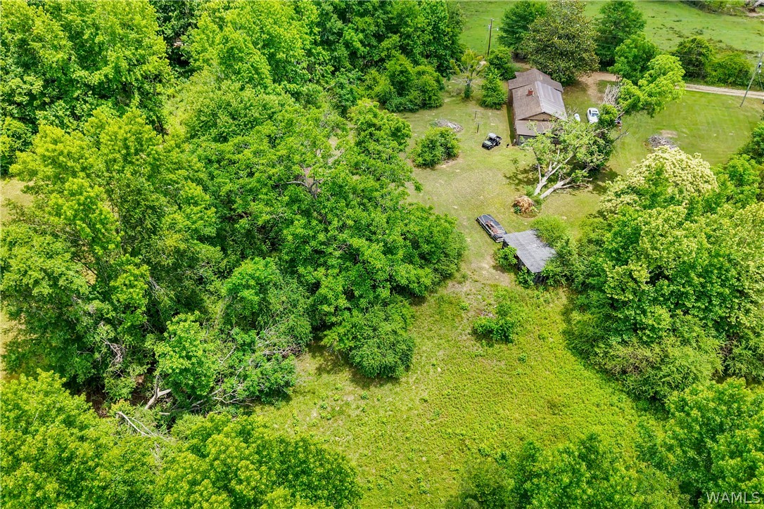 Land in Lawley 5