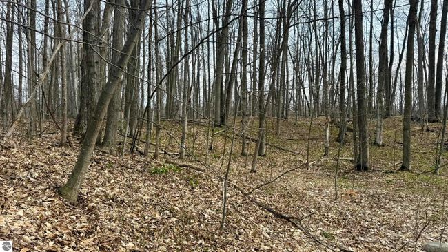 Lot 60 Val Disere, Home with 0 bedrooms, 0 bathrooms and null parking in Bellaire MI | Image 6