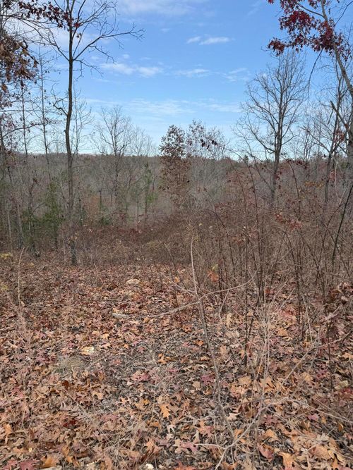 Lot 48 Blue Bird Rd, Eminence, MO, 65466 | Card Image