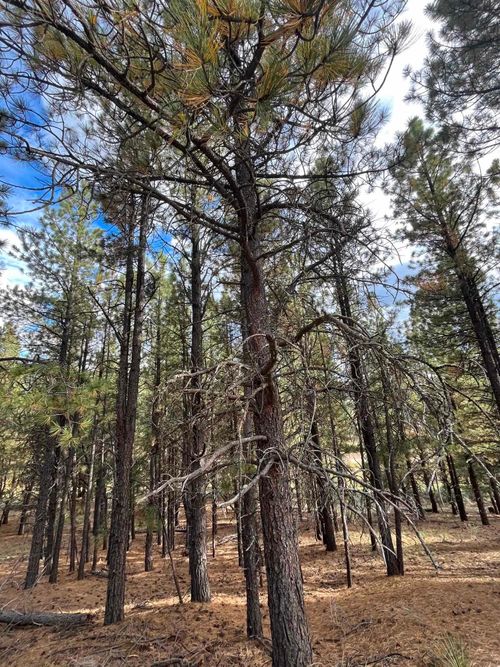 4 Alta Rd, Angel Fire, NM, 87710-8014 | Card Image