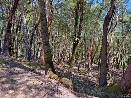 2076 Buckeye Rd, Willits, CA, 95490-8485 | Card Image