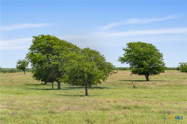 16160 Siler Rd, Home with 0 bedrooms, 1 bathrooms and null parking in Moody TX | Image 13