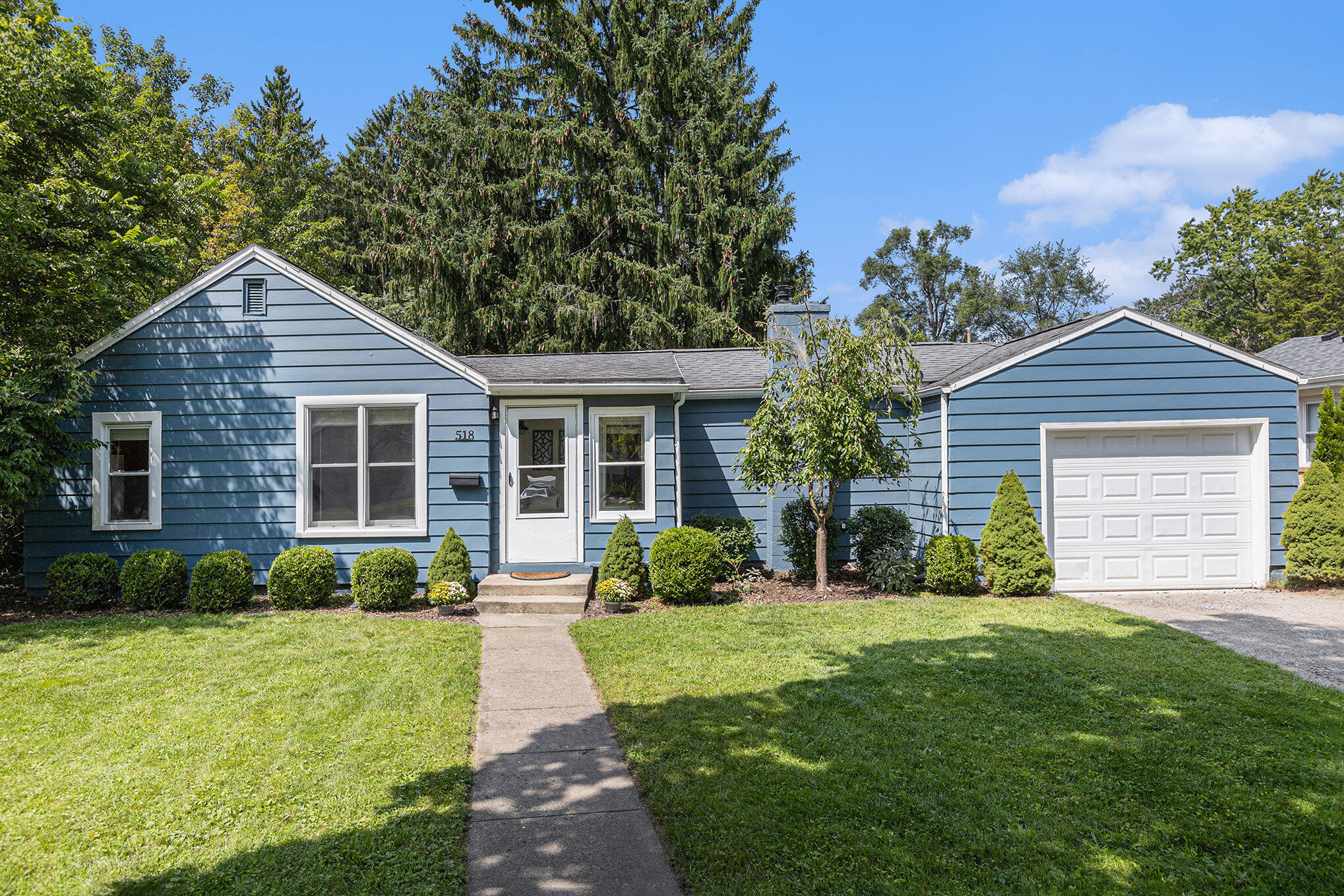 Chandler St, Chelsea, MI 48118