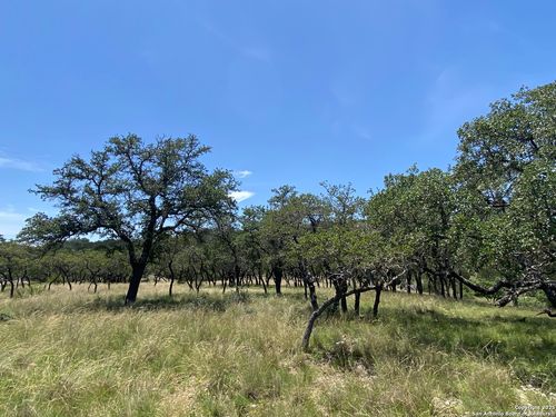 208 Saddle Wood Trl, Comfort, TX, 78013-3800 | Card Image