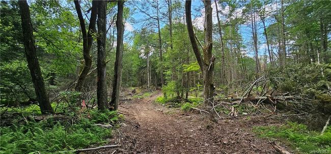 Lot 81.4 County Road 114, Home with 0 bedrooms, 0 bathrooms and null parking in Cochecton NY | Image 9