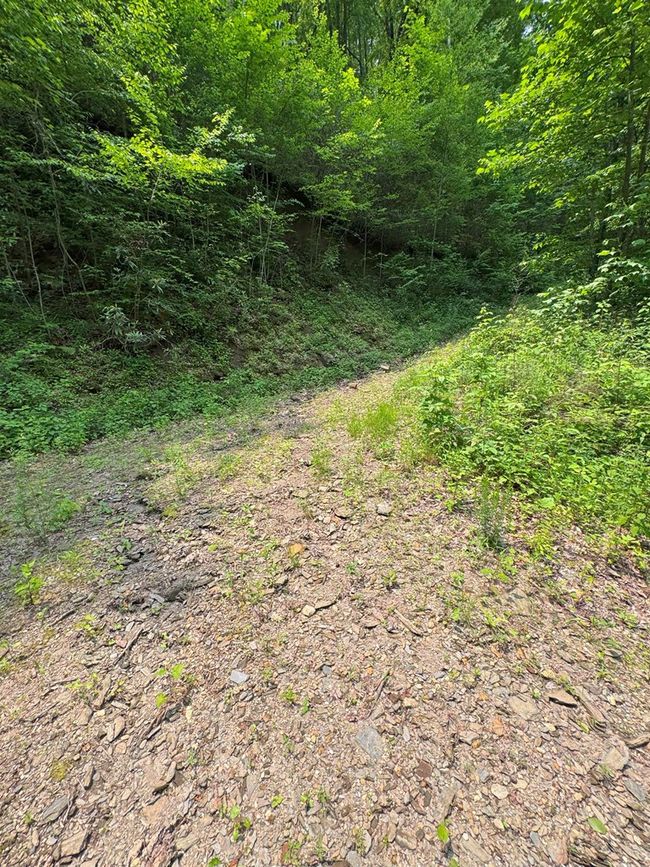 88 acres Bolden Branch Rd, Home with 0 bedrooms, 0 bathrooms and null parking in Andrews NC | Image 13