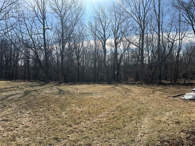 View of nature with a forest view | Image 7