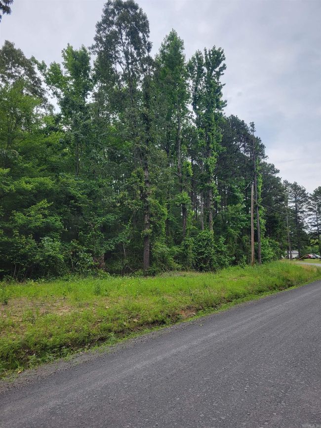 266 Mariposa Loop, Home with 0 bedrooms, 0 bathrooms and null parking in Bee Branch AR | Image 4