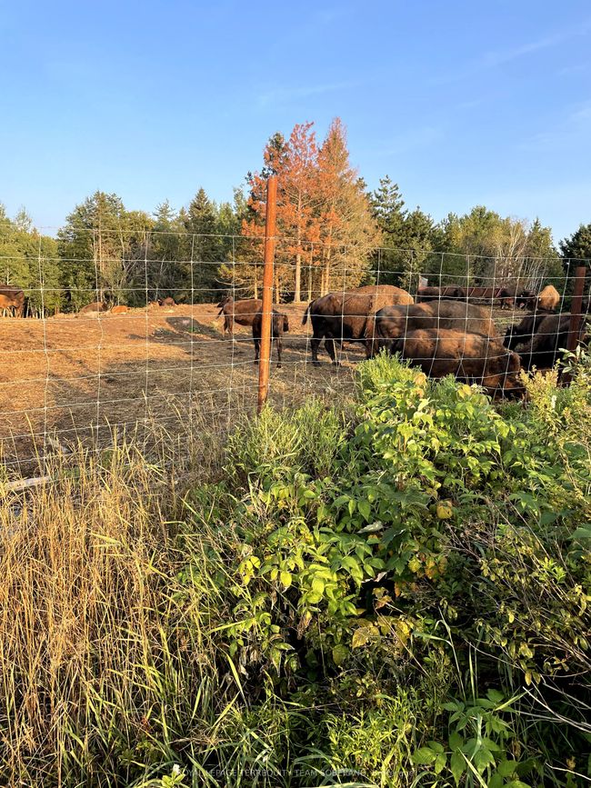 10138 Highway 64 N/A S, Home with 0 bedrooms, 0 bathrooms and null parking in West Nipissing ON | Image 7