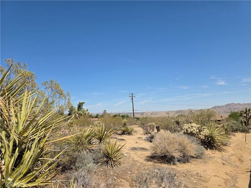 0 La Mirada Trl, Joshua Tree, CA, 92252 | Card Image