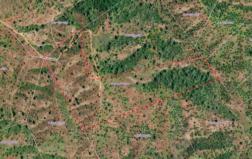 233 Tolowa Rd, Igo, CA, 96047 | Card Image