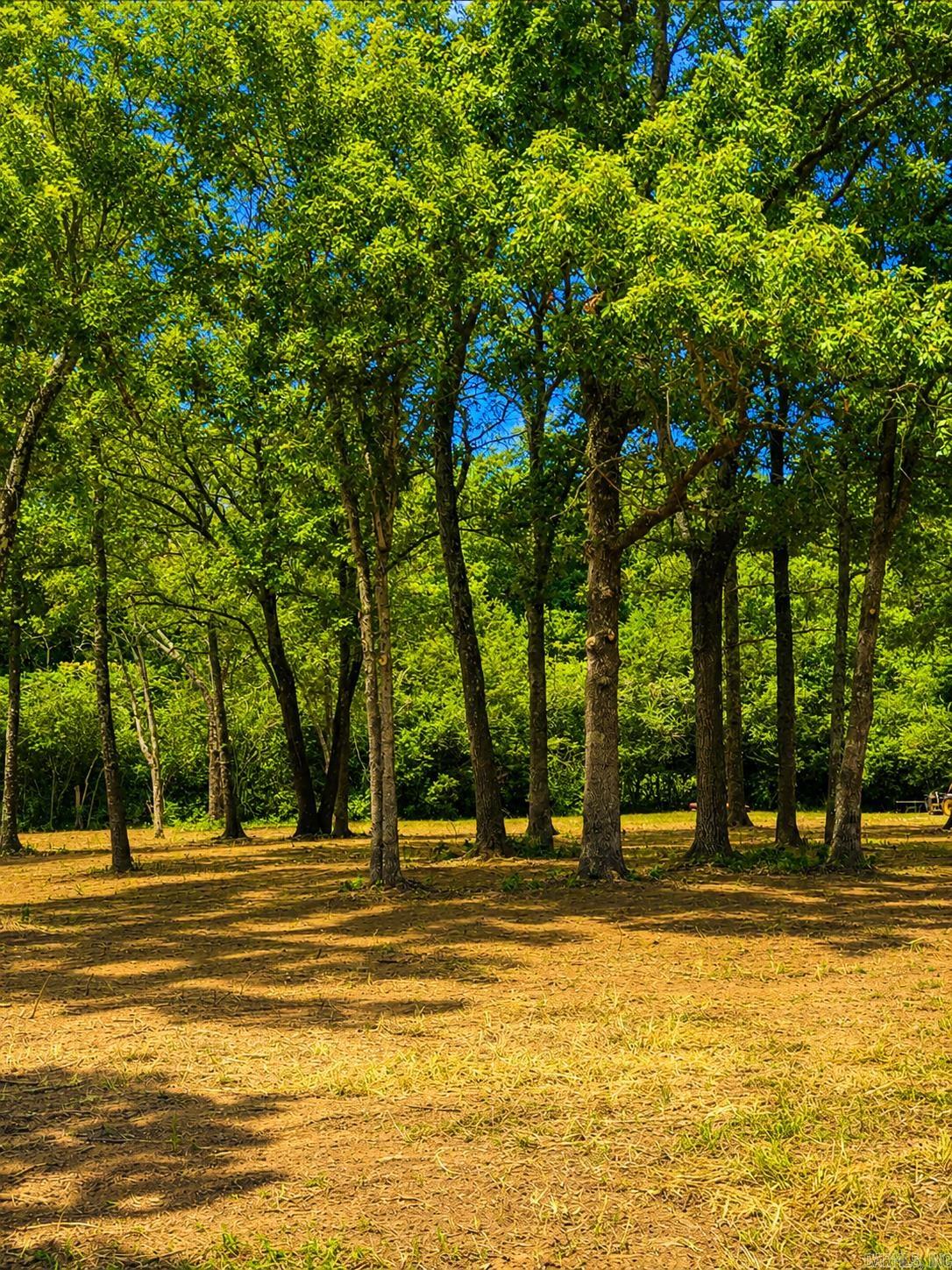 Land in Clinton