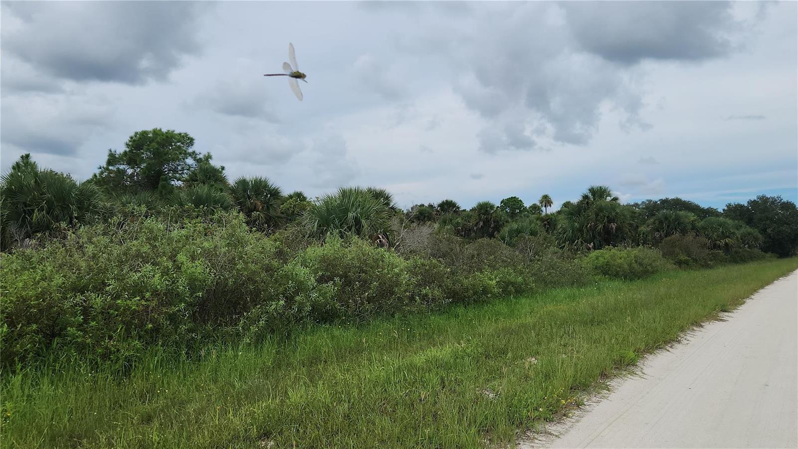 Other in Okeechobee 4