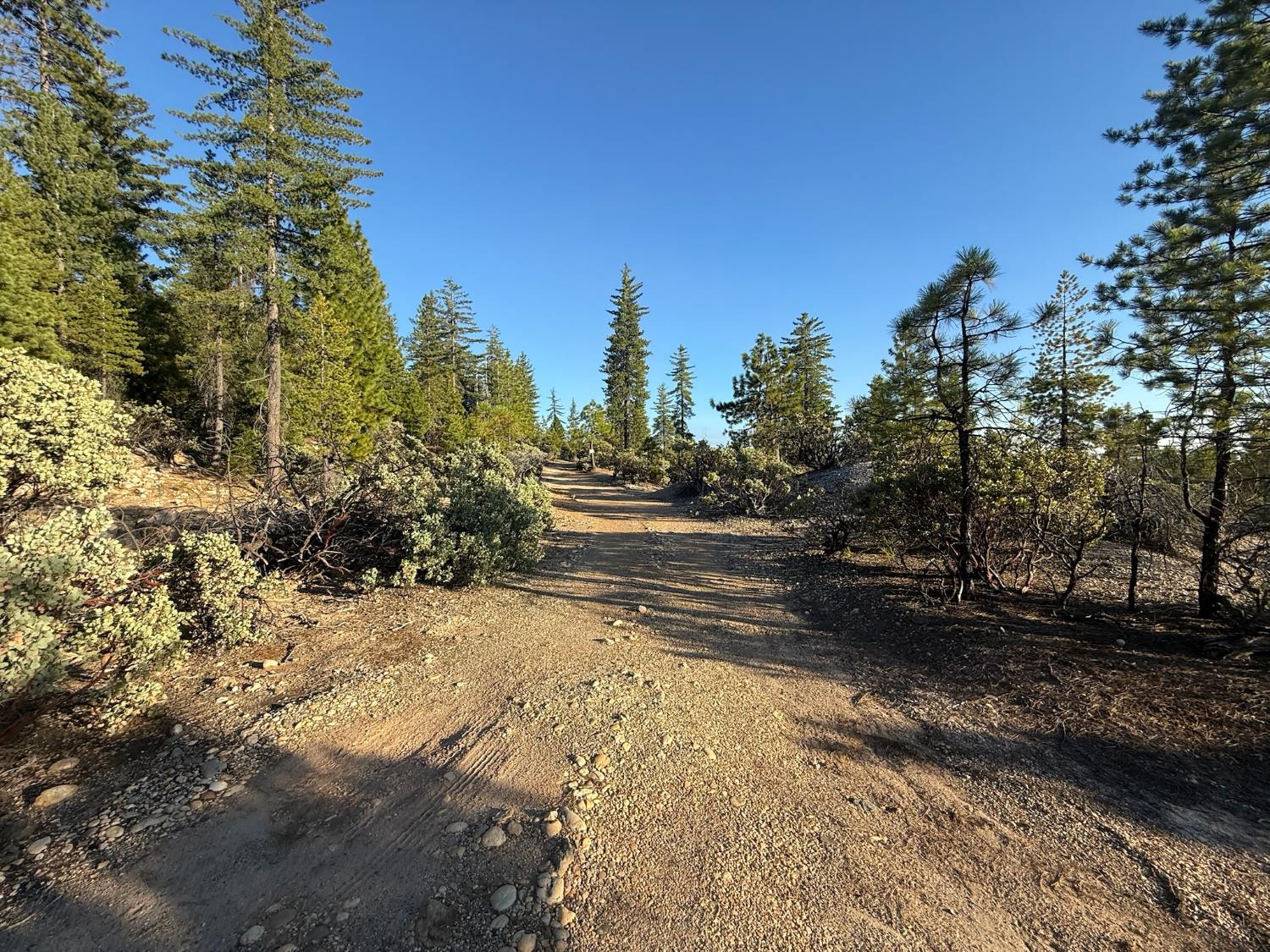 Land in Grass Valley 4