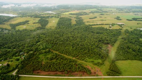 000 Farm Road 2255, Golden, MO, 65658 | Card Image